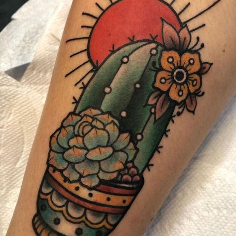 Traditional Houseplant Tattoo, Traditional Succulent Tattoo, Tattoo Succulent, Succulent Tattoos, Succulent Tattoo Ideas, Succulent Tattoo, Succulent Images, Traditional Tattoo Inspiration, Cactus Tattoo