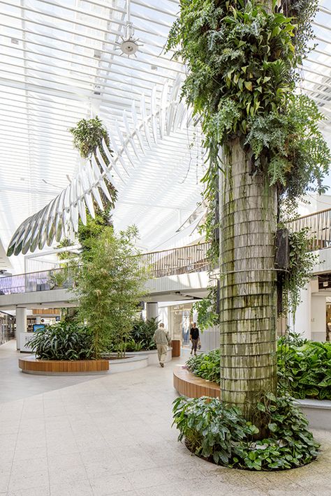 Westfield Warringah Mall | Tensile Design & Construct Green Column Design, Green Facade Design, Mall Interior, Green Facade, Mall Design, Column Design, Fire Pit Designs, Commercial Buildings, Garden Cafe