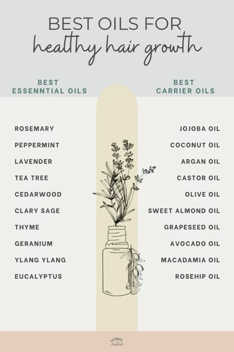 Best oils for healthy hair growth, essential oils for long hair, science of essentials, aromatherapy Essential Oils For Losing Hair, Essential Oil Hair Spray, Oils For Healthy Hair, Elegant Hair Styles, Essential Oil Hair, Essential Oils For Hair Growth, Essential Oil Perfumes Recipes, For Healthy Hair Growth, Hair Science