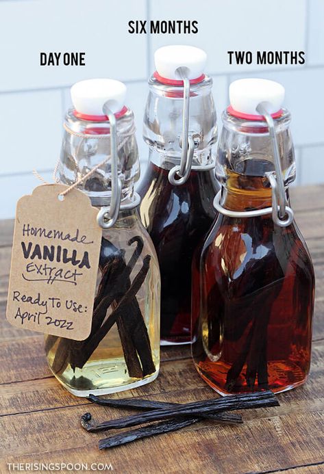 How to Make Vanilla Extract (Easy Food Gift) Diy Extracts, Make Vanilla Extract, Vanilla Extract Recipe, Diy Food Gifts, Homemade Vanilla Extract, Homemade Vanilla, How To Make Homemade, Canning Recipes, Kefir