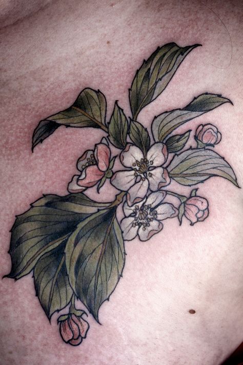 Kirsten Holliday Foral Tattoo, Apple Blossom Tattoo, Apple Blossom Tattoos, Botanical Illustration Tattoo, Crab Apple Blossom, Floral Arm Tattoo, Coordinates Tattoo, Wonderland Tattoo, Traditional Tattoo Sleeve