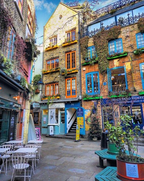 Neal's Yard, Neals Yard, London Dreams, Covent Garden London, London Garden, London Baby, London Summer, London Aesthetic, Sky Garden