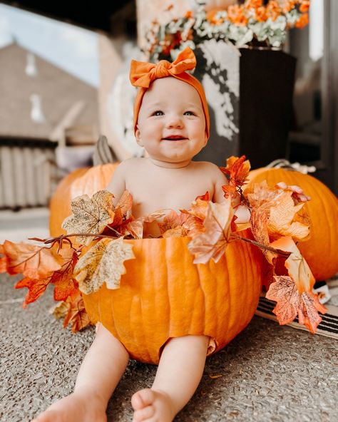 I don’t make the rules but if you aren’t putting your baby in a pumpkin for Halloween you’re simply not basic enough🧡🤍 Xoxo, Genevieve 🎃 #babyhalloweencostume #babypumpkin #pumpkincostume #gourdseason Pumpkin Baby Craft, Pumpkin For Halloween, Newborn Costume, Newborn Halloween Costumes, Pumpkin 1st Birthdays, Turkey Pumpkin, Newborn Halloween, Pumpkin Costume, Pumpkin Thanksgiving