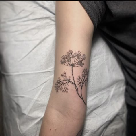 Crimson Tattoo, Dill Plant Tattoo, Dill Flower Tattoo, Dill Tattoos, Dandelion Tattoo, Flower Sleeve, Plant Tattoo, Lace Tattoo, Flower Tattoo Sleeve