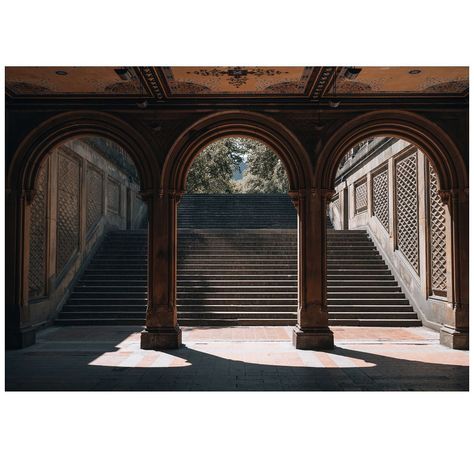 Central Park deserved its owned category. There are too many amazing photographs to be taken here, but some of my favorite were at the Bethesda Terrace and of the famous San Remo. . . . #sonyalpha #newyorkcity #newyork #centralpark #sanremo #streetphotography #urbanphotography Bethesda Terrace Central Park, Newyork Centralpark, Bethesda Terrace, Urban Photography, Central Park, Street Photography, Terrace, My Favorite, New York