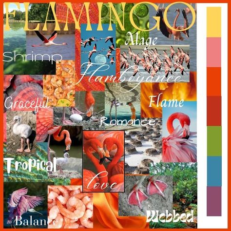 #flamingo #moodboards #canva Concept Board, Mood Boards, Flamingo, Mood Board, Canvas, Quick Saves, Design