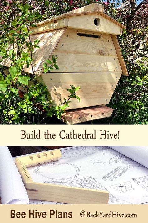 Top Bar Bee Hive, Backyard Beehive, Bee Hives Diy, Bee Hive Plans, Beehive Design, Types Of Bees, Beekeeping For Beginners, Raising Bees, Backyard Beekeeping