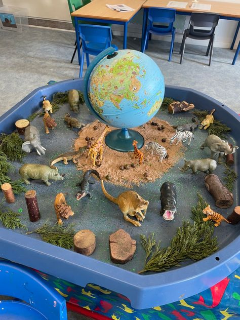 Animal Small World Play, Africa Tuff Tray, Jungle Animals Eyfs, Animals Eyfs Activities, Geography Eyfs, Zoo Tuff Tray, Africa Eyfs, Desert Animals Activities, Animal Habitats Preschool