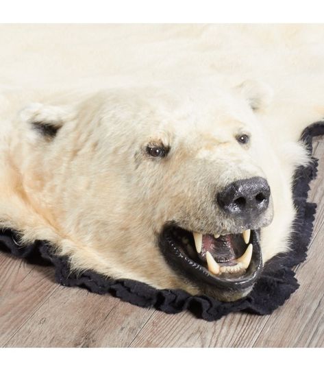 Polar Bear Rugs - Polar Bear Rug for sale Bear Open Mouth, Family Hallway, Polar Bear Fur, Parlor Living Room, Bear Skin Rug, Animal Skin Rug, Taxidermy For Sale, Fur Rugs, Animal Head Wall