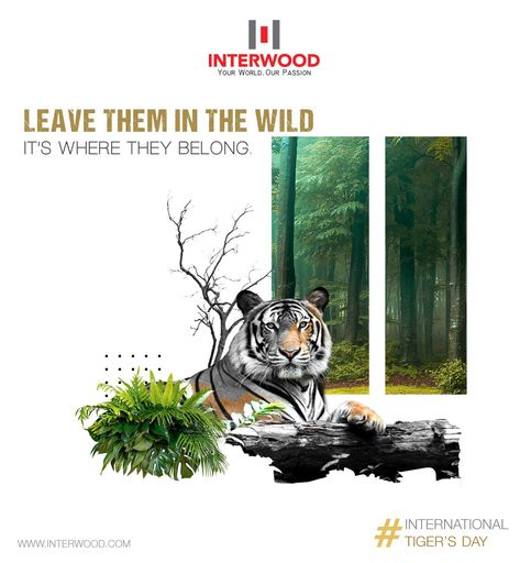 It is reported, the existence of tigers is a sign of a healthy ecosystem. International Tiger’s day is celebrated on 29th July every year to bring awareness about Tiger conservation and promote the protection of the natural habitat. Let us step forward and do our bit to protect the planet.  #Interwood #InterwoodKitchens #InterwoodWardrobes #InternationalTigersDay #ProtectTigers #EcologyIntegrity World Tiger Day, Tiger Day, Tiger Conservation, Ecosystem, A Sign, Ecology, Tigers, Habitat, Bring It On