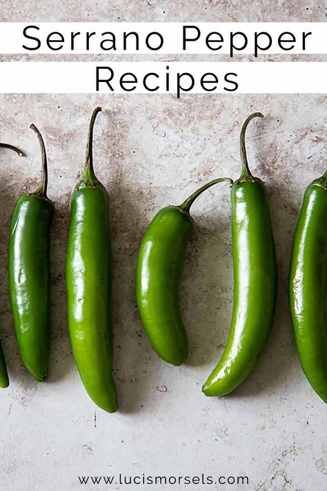 Enjoy each of these serrano pepper recipes - sauces, pizzas, salsas, and other yummy dishes using that spicy kick! Candied Serrano Pepper Recipes, Salsa With Serrano Peppers, Canning Serrano Pepper Recipes, Serrano Peppers Recipes, Recipes Using Serrano Peppers, Seranno Pepper Recipe, Stuffed Serrano Pepper Recipes, Cyanne Pepper Recipes, Serrano Pepper Recipes Dishes