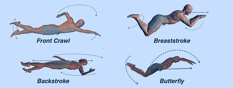 Different types of swimming stroke and which ones are easy to learn how to swim. Different Swimming Strokes, Types Of Swimming, Butterfly Legs, Swimming Pictures, Swimming Strokes, How To Swim, Swim Lessons, Teacher Help, Easy Drawings