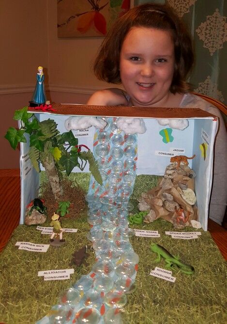 Rainforest diorama by Sydney Simmons, 4th grade, 10 yrs old.  A science project studying the ecosystem and food chain to include producers, consumers and decomposers. Elsa and her pet frog oversee the fun of course. African Savanna Diorama, Giraffe Habitat Diorama, Savannah Ecosystem Project, Cheetah Habitat Project For Kids, Savannah Biome Project, Savanna Animals Crafts, Cheetah Diorama For Kids, African Savannah Diorama, Cheetah Habitat Diorama