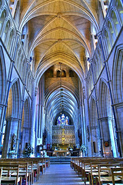 Peterborough Cathedral, Southwark Cathedral, Worcester Cathedral, Chester Cathedral, Ely Cathedral, Lincoln Cathedral, Norwich Cathedral, Canterbury Cathedral, Roman Villa