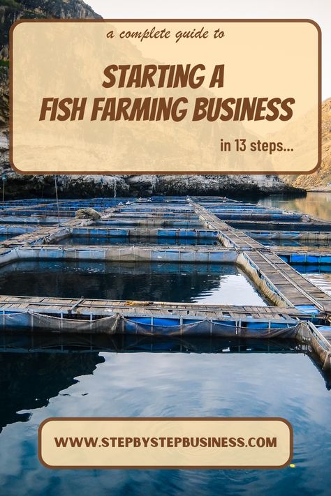 Complete step-by-step guide to starting a fish farming including costs, profit potential, registering your business and hiring staff. #fishfarmingbusiness Fish Farming Backyard, Fish Farming Ideas, Backyard Fish Farming, Fish Farm, Farming Fish, Fish Cage Farming, How To Start Fish Farming, Aquaculture Aquaponics, Aquaculture Fish