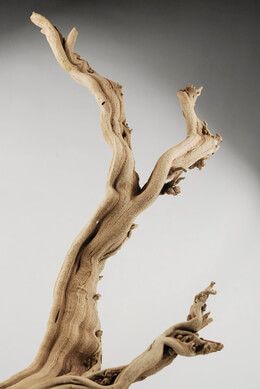 Natural Ghostwood Branches Sandblasted 10-14 in (California Driftwood) Sanitized Grapewood Branch, Diy Nautical, Driftwood Furniture, Manzanita Branches, Driftwood Projects, Fish Wall Decor, Driftwood Branch, Wall Diy, Sand Crafts