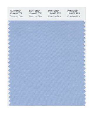 Pantone 15-4030 TCX Smart Color Swatch Card, Chambray Blue Pantone Chambray Blue, Beach House Patio, Pantone Color Chart, Angel Falls, House Patio, Hydrangea Blue, House Paint Color Combination, Soft Summer Colors, Summer Blues