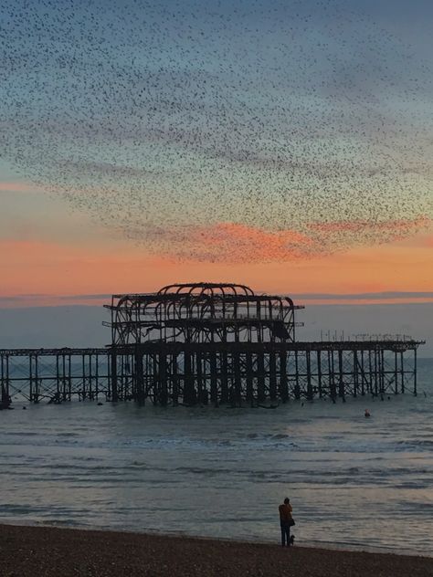 Murmuration over the old Brighton pier Pier Tattoo, Impulsive Tattoos, Brighton Pier, Brighton England, Phone Photography, Illustration Inspiration, Tattoos And Piercings, Brighton, The Old