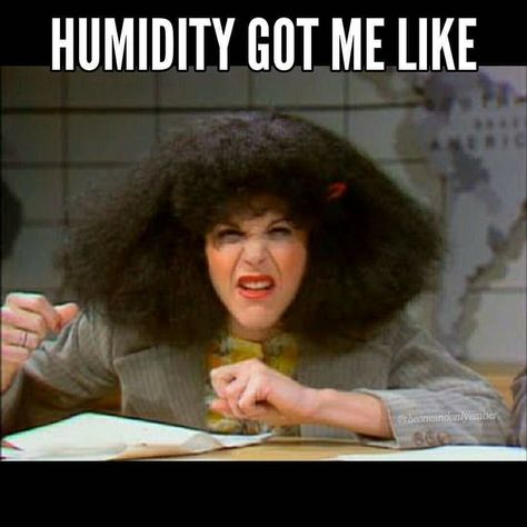 Humidity Humor, Frizzy Hair Meme, Humidity Hair, Hair Meme, Snl Skits, Shampoo Bars, Humid Weather, Solid Shampoo, Belly Laughs