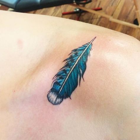 Blue Jay Bird Tattoo, Blue Jay Feather Tattoo, Jay Bird Tattoo, Tattoos Daughter, Greek Evil Eye Tattoo, Blue Jay Tattoo, Jay Tattoo, Small Feather Tattoo, Leopard Print Tattoos