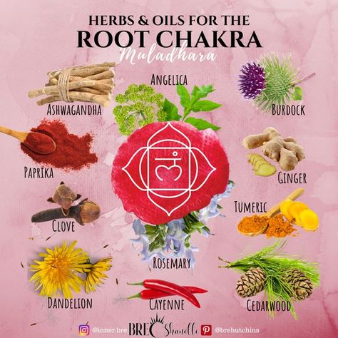 Earth Spirituality, Menstrual Symptoms, Spiritual Learning, Natural Aphrodisiac, Healing Methods, Different Types Of Meditation, The Root Chakra, Manipura Chakra, Mood Stabilizer