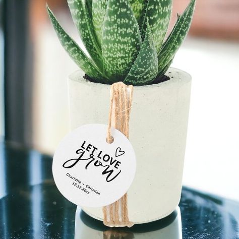 Let Love Grow This Modern Simple Minimalist Wedding tag from #Ricaso is designed with a bold text - perfect for wedding favors, gifts for the newly weds. Perfect for a simple wedding ceremony that is filled with love https://www.zazzle.com/let_love_grow_minimalist_wedding_favor_tags-256270754887448369 #favortags #gifttags #letlovegrow #plant #flower #plants #flowers #giveaplant #giveaplantahome #instagramplants #love #gift #giftidea #giftideas #zazzlemade Simple Wedding Ceremony, Simple Minimalist Wedding, Let Love Grow, Bold Text, Wedding Tags, Wedding Favor Tags, Gay Wedding, Simple Wedding, Minimalist Wedding