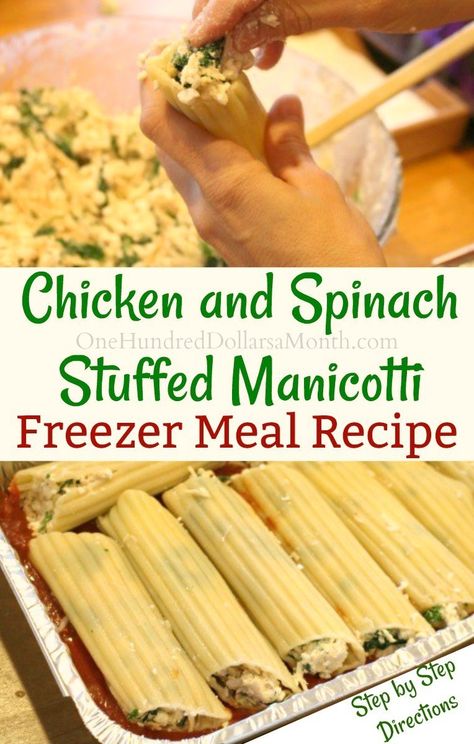 Stuffed Manicotti, Chicken Freezer Meals, Freezer Dinners, Recipes Cheap, Budget Freezer Meals, Healthy Budget, Freezer Friendly Meals, Freezable Meals, Freezer Meal Planning