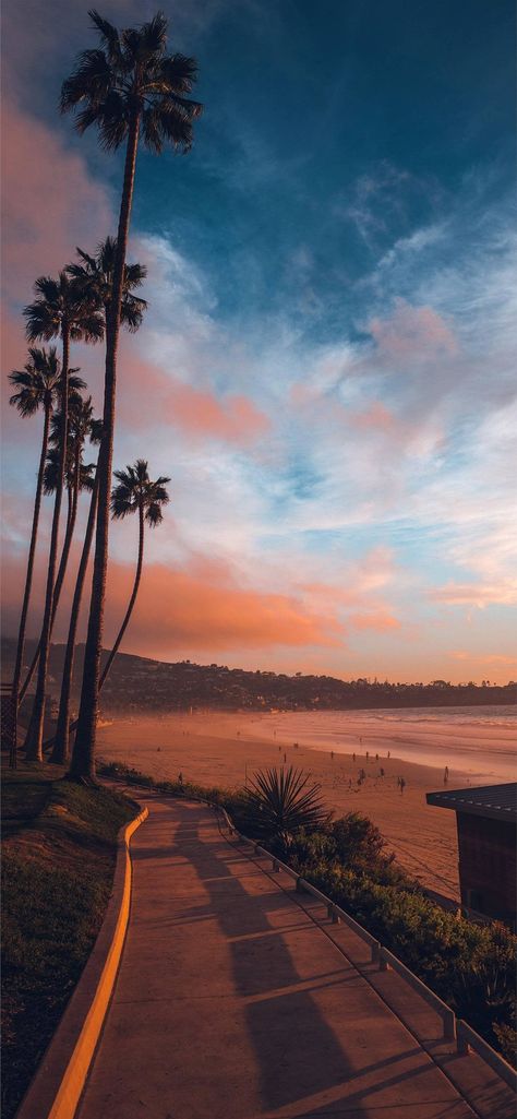 La Jolla Shores #Reddit Iphone 15 Pro, At The Beach, Palm Trees, Iphone 15, The Sun, The Beach, Trees, Wallpapers, Sun