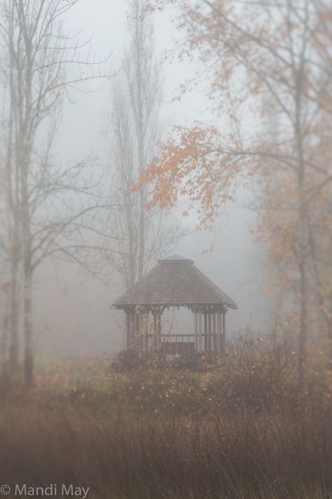 "Gazebo" by Mandi May | Fine Art Photography and Monotypes - Scenic Photography - Battle Point Park in the fog - Foggy garden park - Autumn fog - dreamy quiet nature photography -washington parks - Bainbridge Island - Moody Nature Scene - Rustic Fog Foggy Garden, Quiet Nature, Bainbridge Island Washington, Fog Photography, Moody Nature, Whimsical Art Journal, Foggy Day, Scenic Photography, Bainbridge Island