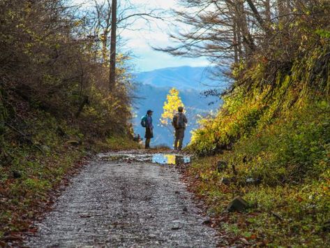 Nakasendo Trail walking tour, Japan | Responsible Travel Old Japan, Trail Walking, Animal Encounters, Flight Status, Walking Trail, Walking Holiday, Ancient World, Country Inn, The Monks