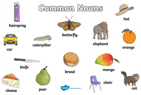 Common Noun Pictures, Noun Examples, Noun Chart, Teeth Diagram, Common Noun, Nouns Grammar, Beautiful Scenery Drawing, Name Of Vegetables, Types Of Nouns