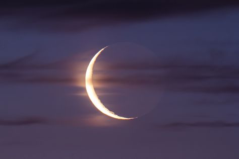 Old Moon Waning « The Amazing Sky Waning Crescent, Yennefer Of Vengerberg, Moon Aesthetic, Look At The Moon, Moon Rise, Moon Lovers, Beautiful Moon, The Night Sky, New Moon