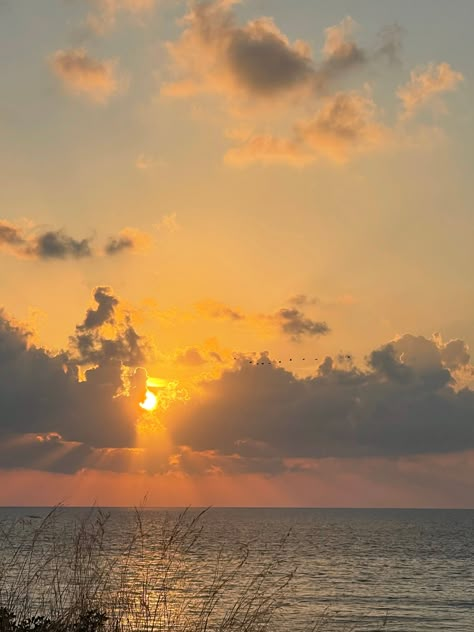 Captured against a backdrop of serene, azure seas, this mesmerizing photograph showcases the ethereal beauty of nature in its purest form. Wisps of cotton-like clouds adorn the expansive sky, gently kissed by the warm hues of the setting sun. Between the radiant glow of the sun and the tranquil waters below, graceful birds soar effortlessly, their silhouettes casting delicate shadows against the heavenly canvas. A harmonious syphony of light, movement, and tranquility, this captivating image inv Light Asthetics Photos, Warmth Aesthetic, Beautiful Images Of Nature, Sun On Water, Sun And Shadow, Light Movement, Aesthetic Sun, Warm Sunset, Pastel Sunset