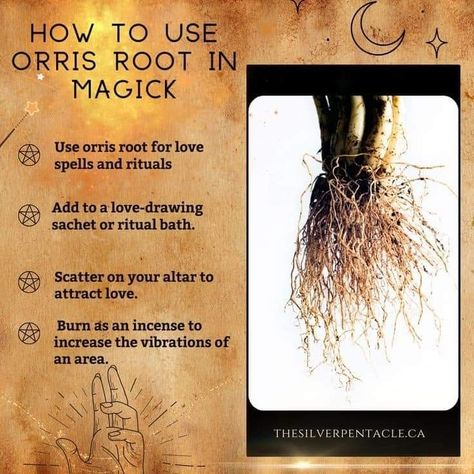 Witchy Notes, Herbs Spells, Magical Herbs Witchcraft, Herb Magick, Herbs Witchcraft, Hedge Witchcraft, Green Witchery, Magick Herbs, Magickal Correspondences