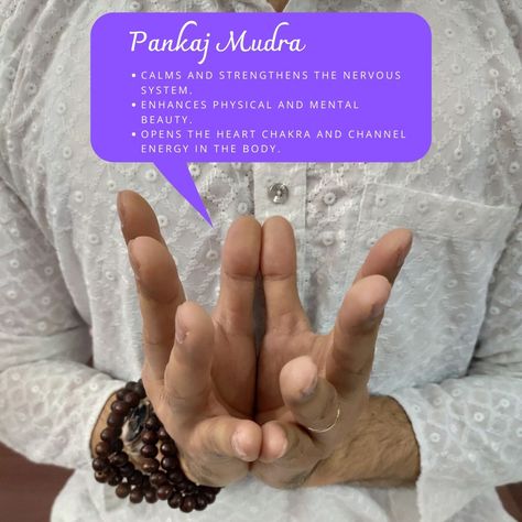 Lotus Mudra, Mudras Meanings, Exercise Challenges, Yoga Mudras, Hand Mudras, Acupressure Therapy, Tai Chi Qigong, Different Types Of Yoga, Mind Thoughts