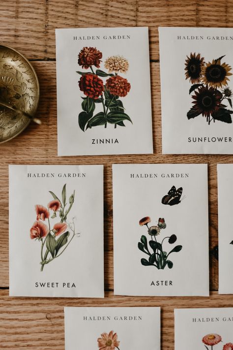 Curated Seed Collaboration with Halden Garden — Earth Star Herbals Breakfast Cucumber, Herbalist Garden, Wild Bergamot, Garden Sets, German Chamomile, Peony White, Flower Seeds Packets, Pink Sunflowers, French Breakfast