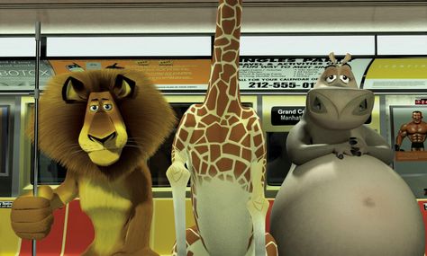 Best Kid Movies, Madagascar Movie, Kids Movies, Armchair Travel, Ben Stiller, Jada Pinkett, Travel Movies, David Schwimmer, Night At The Museum