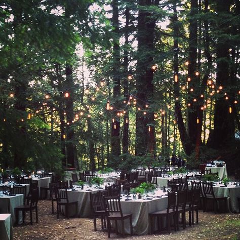 shelter-co: “ Magical forest dinner tonight. #curiositycamp ” Shelter co. is an AMAZING company that provides up-scale outdoors experiences for people, whether that means a wedding reception or... Diy Forest, Forest Wedding Reception, Wedding Ceremony Ideas, Wedding Reception Ideas, Enchanted Forest Wedding, Boda Mexicana, Outdoor Dinner, Wedding Reception Venues, Magical Wedding