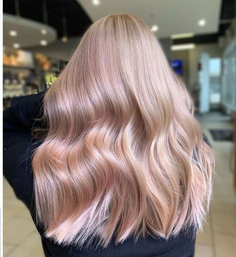 Burnette Hair, Highlights Brown Hair Balayage, Blond Rose, Honey Blonde Hair Color, Light Pink Hair, Pink Blonde Hair, Strawberry Blonde Hair Color, Peach Hair, Bangs With Medium Hair