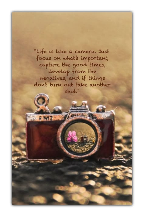 Best Quotes Life, Life Is Like A Camera, Camera Quotes, Image Editor, Quotes Life, Best Life, Focus On, The Good, Best Quotes