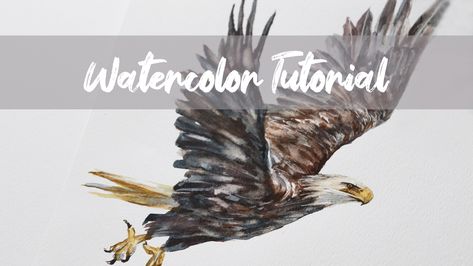 Watercolour Eagle, Watercolor Eagle, Watercolour Birds, Watercolour Animals, Eagle Painting, Artwork Watercolor, Watercolor Birds, Flag Painting, Watercolor Tutorial