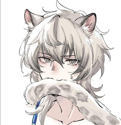 Anime Cat Boy, Hybrid Cat, Neko Boy, Hybrid Art, Anime Japanese, Cat Kawaii, Japanese Kawaii, Cat Boys, 캐릭터 드로잉