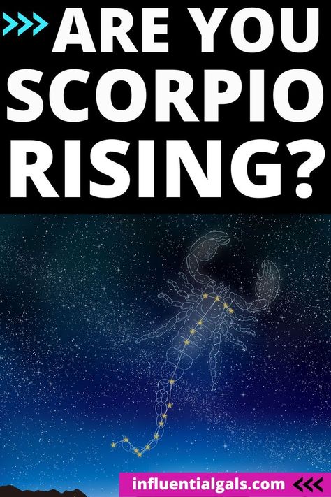 Are You Scorpio Rising? Scorpio Ascendant, Astrological Chart, Scorpio Rising, Rising Sign, The Ego, First House, Birth Chart, We Wear, To The World