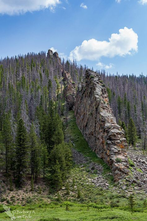 An impressive, resistant dike from Colorado.  A dike is a planar intrusion of magma. Rock Formations Natural, Cool Rock Formations, Geologic Timescale, Granby Colorado, Conglomerate Rock, Molten Rock, Interesting Rock Formations, Geology Rocks, Colorado Mountain