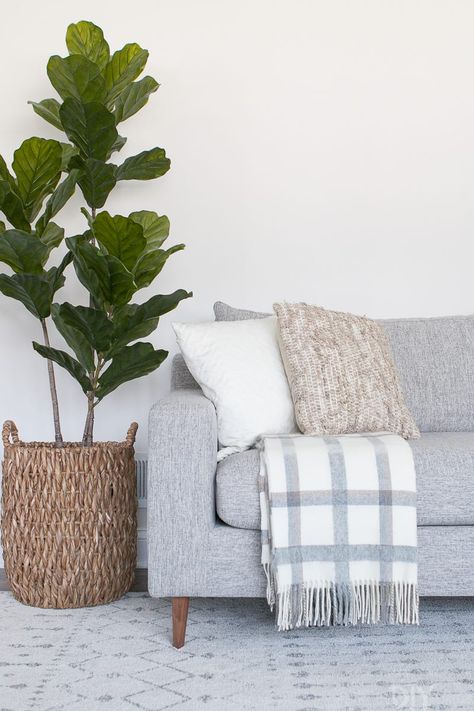 How to Choose Throw Pillows for a Gray Couch | The DIY Playbook Couch Grau, Couch Blankets, Film Decor, Pillow Combo, Couches Living, Grey Couch, Grey Couch Living Room, Diy Playbook, African Mudcloth