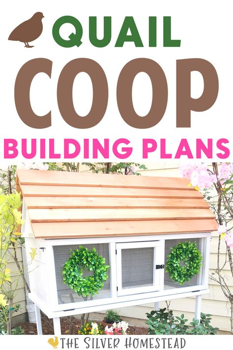 FREE Coturnix Quail Coop Building Plans with image of white cottage style quail coop and blooming garden flowers Small Quail Coop, Winter Quail Coop, Quail Watering System, Outdoor Quail Coop, Quail Hutch Diy, Button Quail Housing Indoor, Quail Enclosure Ideas, Quail Pen Ideas, Quail Aviary Ideas