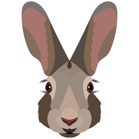 Vector Cartoon Hare Head. Front View. Rabbit Front View, Hare Cartoon, Head Front View, Front View Drawing, Draw A Rabbit, Hare Drawing, View Drawing, Rabbit Head, Drawing Heads