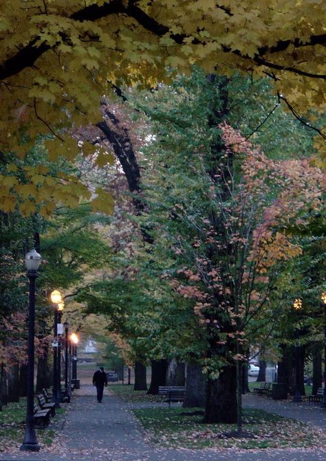 Photo: Anne Morin - Portland Park Blocks, Portland State University Portland State University Aesthetic, Portland University, University Of Portland, October Country, Portland State University, Beautiful Oregon, Waverly Place, Oregon State University, Oregon City