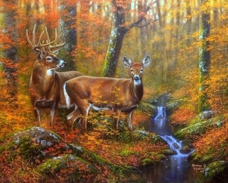 Autumn Couple - nature, trees, forests, autumn, attractions in dreams, paintings, colors, deer, creek, animals, fall season, couple, love four seasons Deer Artwork, Deer Pictures, Deer Creek, Dream Painting, Deer Stand, Deer Art, Forest Road, A Deer, Whitetail Deer