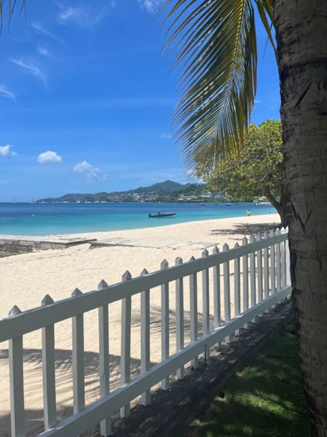 grand anse beach #carribean #grenada #beach #summer Grand Anse Beach Grenada, Grenada Aesthetic, Caribbean Summer, Grenada Caribbean, Coconut Aesthetic, Tropical Travel Destinations, Island Gyal, Ocean Girl, Tropical Travel